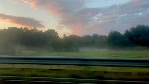 IMG 4283 Stock Footage 323069756