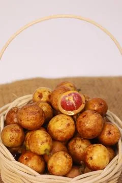 IMG 4501 库存照片
