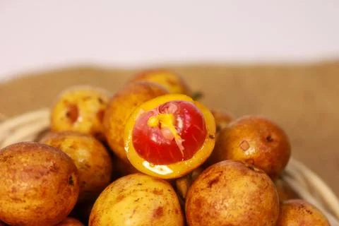 IMG 4505 库存照片