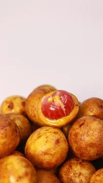 IMG 4512 库存照片