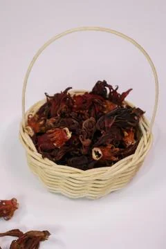 IMG 4522 库存照片