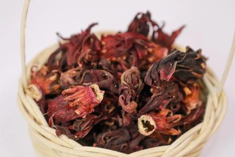 IMG 4524 库存照片