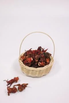 IMG 4525 库存照片