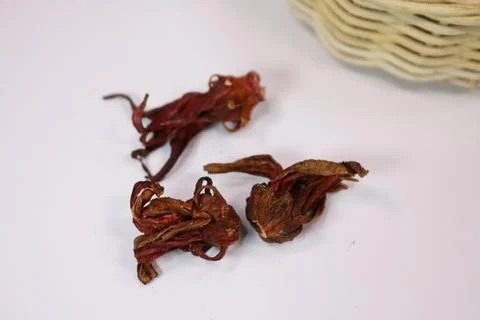 IMG 4528 库存照片