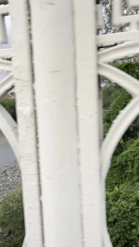 IMG 4634 Video stock 161220078