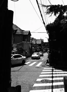 IMG 4949 스톡 사진