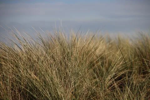 IMG 5033 Stock Photos