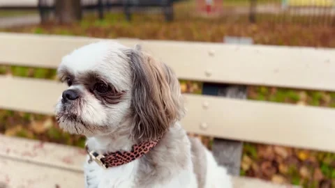 IMG 5040 Stock Footage 324901900