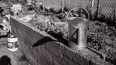 IMG 5171 Stock Photos