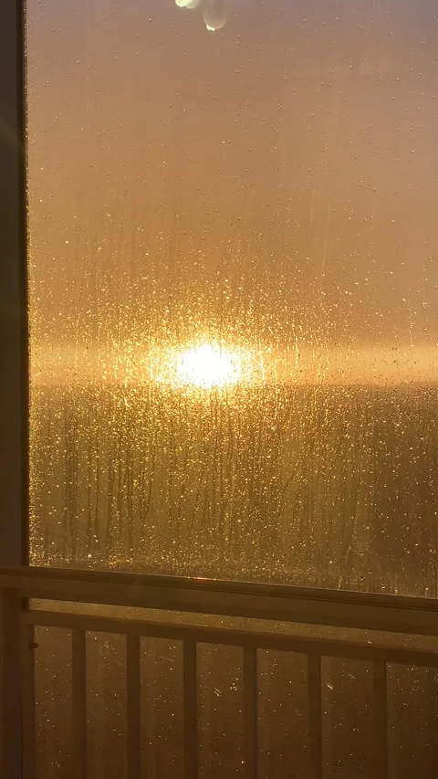 IMG 5188 库存影片 236569811