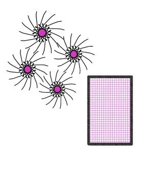IMG 5298 Stock Illustration
