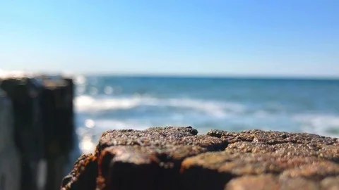 IMG 5301 Stock Footage 96476134