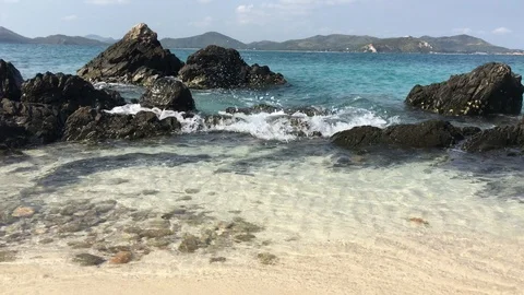 IMG 5418 스톡 동영상 90461899