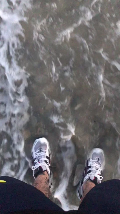 IMG 5529 Stock Footage 159526924