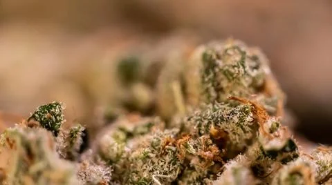 IMG 5597 Stock Photos