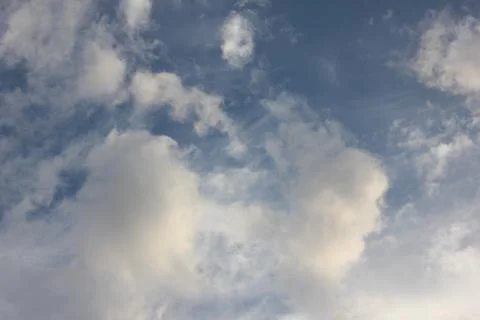 IMG 5911 库存照片