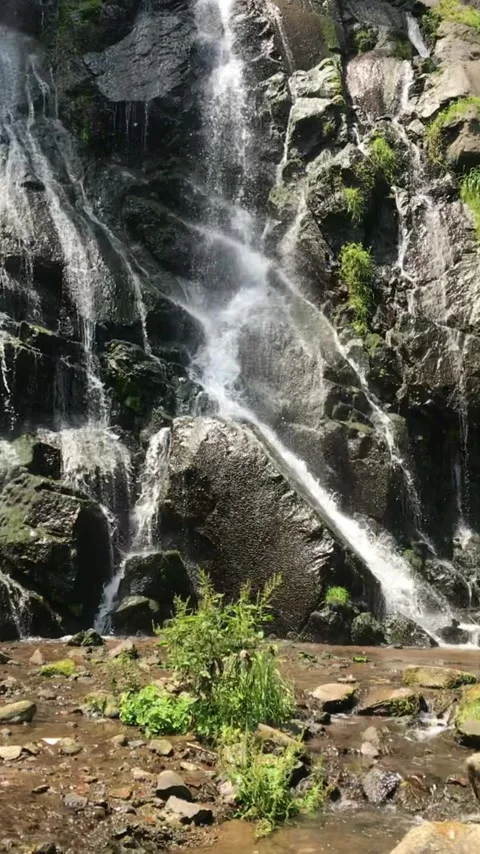 IMG 5921 스톡 동영상 340626991