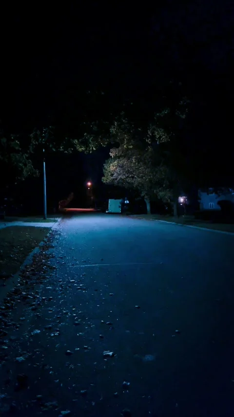 IMG 6096 Stock Footage 279523733