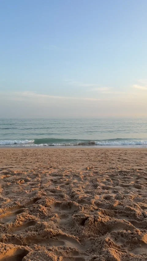 IMG 6378 Stock-Footage 317580081