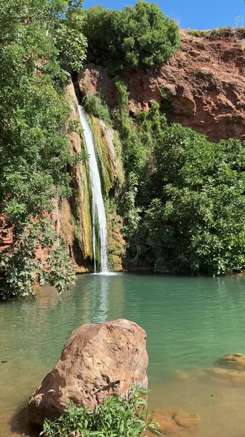 IMG 6507 Stock-Footage 317651289