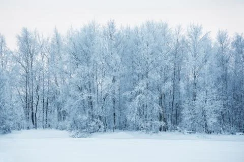 IMG 6618 Stock Photos