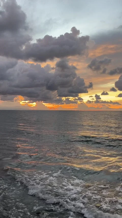 IMG 6879 Stock Footage 205916294