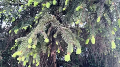 IMG 6912 Видео 337365640