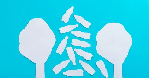 IMG 7227 Stock Footage 119141001