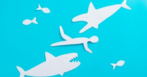 IMG 7252 Stock Footage 119141237