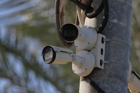 IMG 7255 security camera on pole with palm tree in background, focus on camera Stock Photos