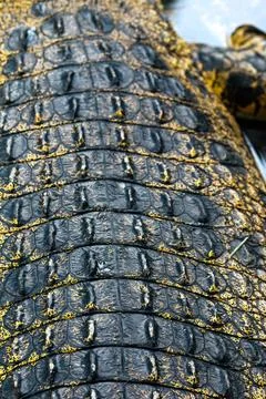 IMG 7296 Фото