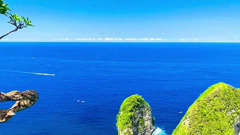 IMG 7334 Stock Footage 291101196