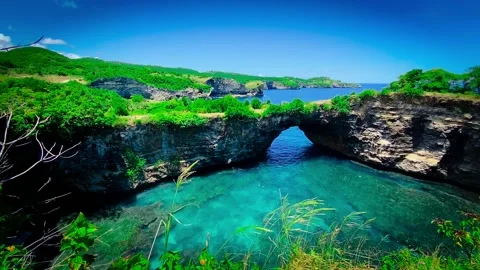 IMG 7521 Stock Footage 291129684