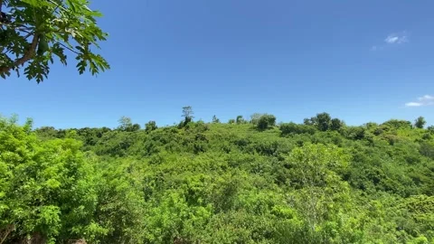 IMG 7533 (1) Stock Footage 291103831