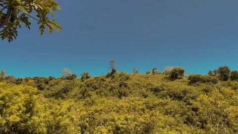 IMG 7536 Stock Footage 291132712