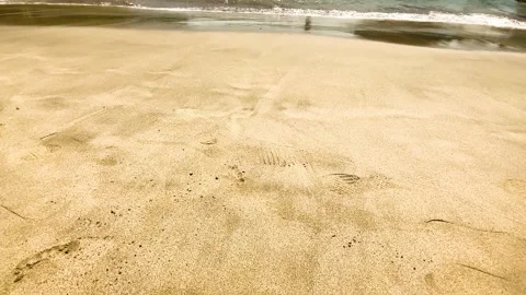 IMG 7555 Stock Footage 291124192