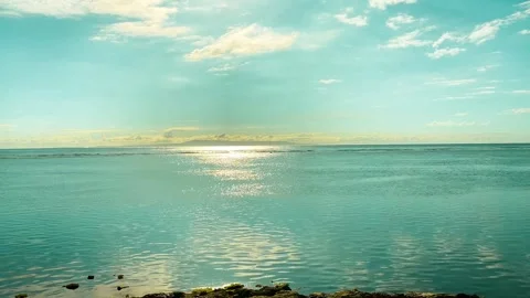 IMG 7776 Stock Footage 291140788