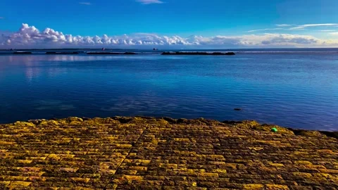 IMG 7777 Stock Footage 291130706