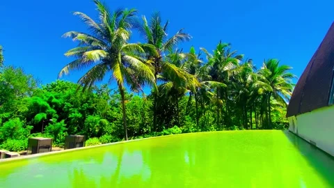 IMG 7828 Stock Footage 291142253