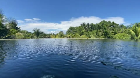 IMG 7838 Stock Footage 291125641