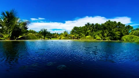 IMG 7839 Stock Footage 291140505