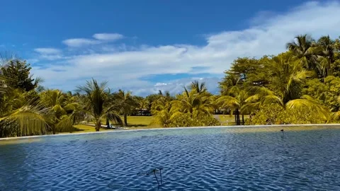 IMG 7841 Stock Footage 291125798