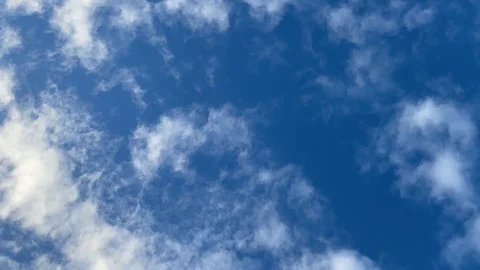 IMG 7874 Stock-Footage 118158390