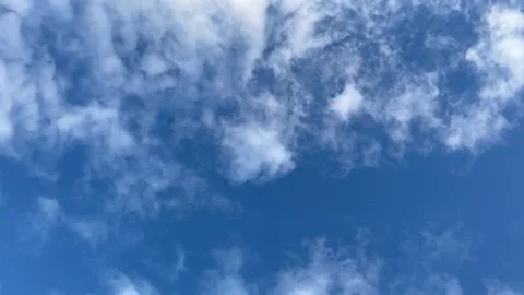 IMG 7875 Stock-Footage 118158314