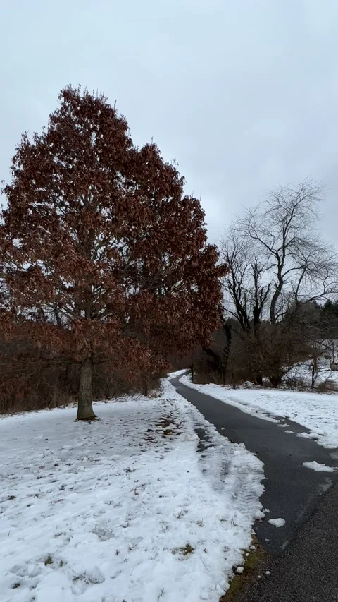 IMG 7975 Stock Footage 168843060