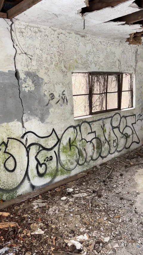 IMG 7983 Stock Footage 168843087