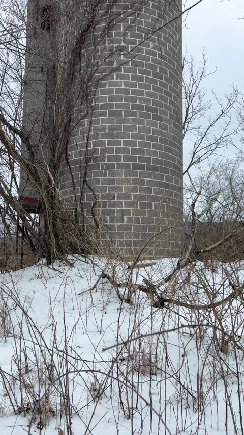 IMG 7987 스톡 동영상 168843094