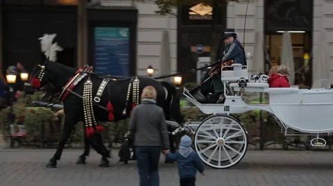 IMG 8012 Stock Footage 34860367