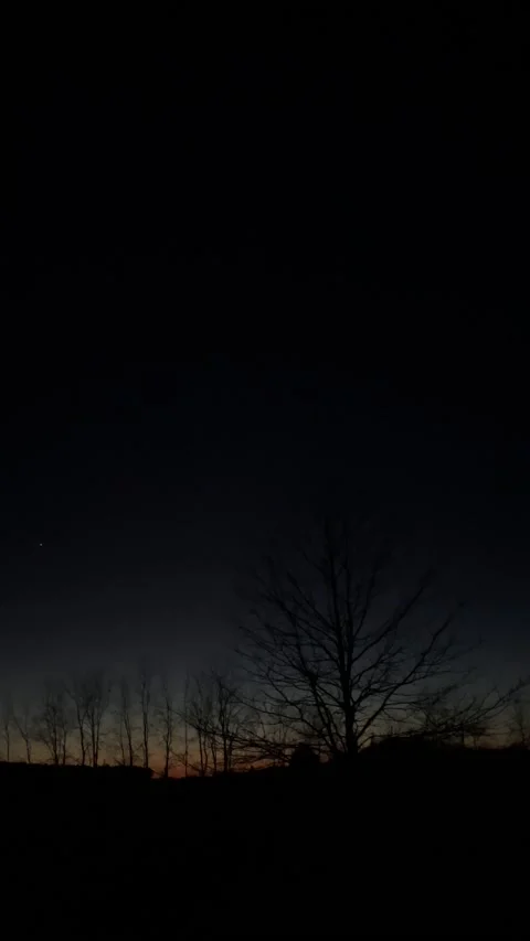 IMG 8121 스톡 동영상 169193518