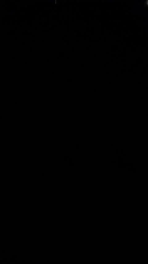 IMG 8136 Stock Footage 169259653